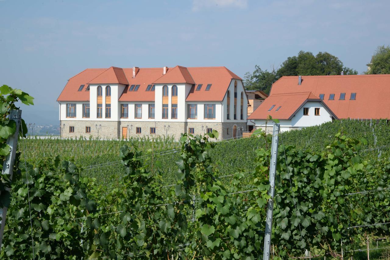 Weingut Taggenbrunn Hotel Sankt Veit an der Glan Exterior foto