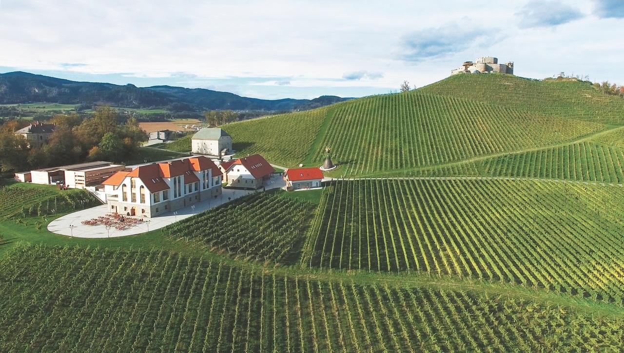 Weingut Taggenbrunn Hotel Sankt Veit an der Glan Exterior foto